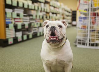 Tax Free Weekend Means Savings on Textbooks, More