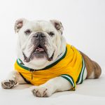 Retirement Reception for Jerry I September 29 Jerry the Bulldog