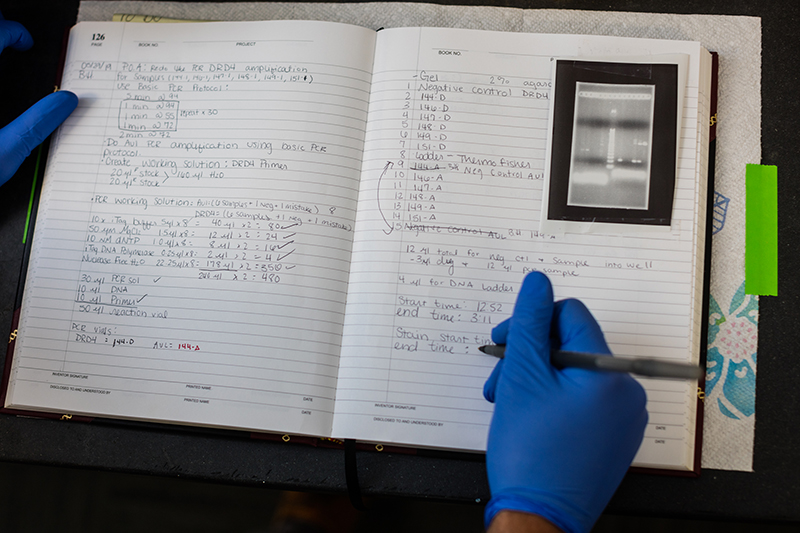 Students wearing blue latex gloves write observations in a notebook Students wearing blue latex gloves write observations in a notebook