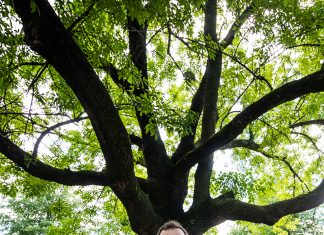 What? So What? Now What… Dr. Rodney Roosevelt sits beneath an oak tree