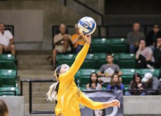 Golden Suns Top Reddies in Five Sets