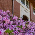 2024 ATU Faculty Biennial Art Show Announced Norman Hall