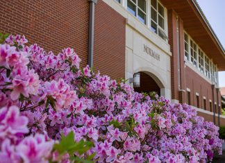 “Thumbnails and Gestures” Reception February 11 Norman Hall