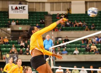 Bulldogs, Rangers Top Golden Suns Volleyball Attack October 2019