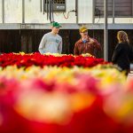 Arkansas Tech Poinsettia Sale November 29 ATU Poinsettia Sale