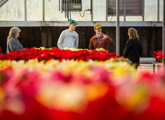 A Holiday Tradition: ATU’s 37th Annual Poinsettia Sale ATU Poinsettia Sale
