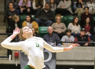 Golden Suns Drop Pair of GAC Volleyball Matches Allie Anderson Fall 2019