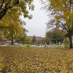Thanksgiving Week Schedule at Arkansas Tech Baswell Techionery in Autumn