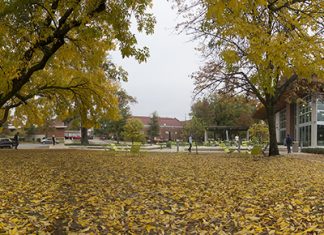 De-Stress Fest 2019 Planned for November 21 Baswell Techionery in Autumn