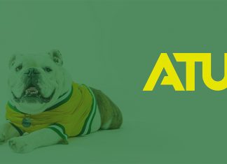 WebEx, Zoom Backgrounds Available for Download Jerry the Bulldog WebEx Background