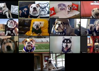 Jerry Participates in Zoom Meeting With Peers Meeting of the Mascots 4-8-2020