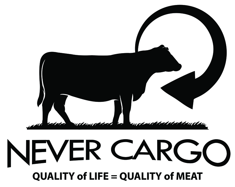 Never Cargo Logo