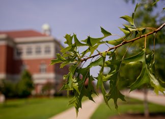 Arbor Day Foundation Honors Arkansas Tech Trees at Arkansas Tech University