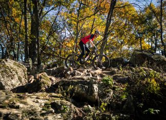 In a University Far, Far Away