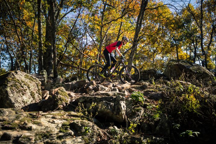 In a University Far, Far Away