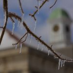 ATU Russellville Going Virtual at 1 p.m. Monday Icy Tree Branch