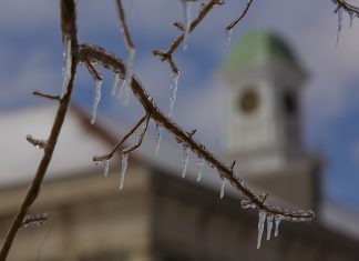 ATU Inclement Weather Procedures: Feb. 11, 2021 Icy Tree Branch