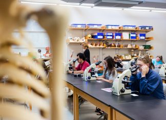 Top Students in Natural and Health Sciences Honored McEver Hall Classroom