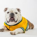 In Memoriam: Jerry Charles Young I Jerry the Bulldog ATU