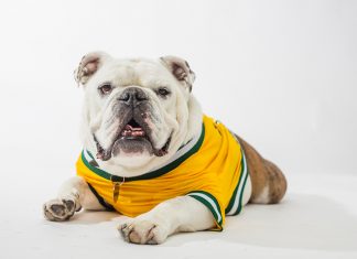In Memoriam: Jerry Charles Young I Jerry the Bulldog ATU