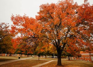 Changing of the Semesters and Seasons at ATU ATU in Autumn 2021