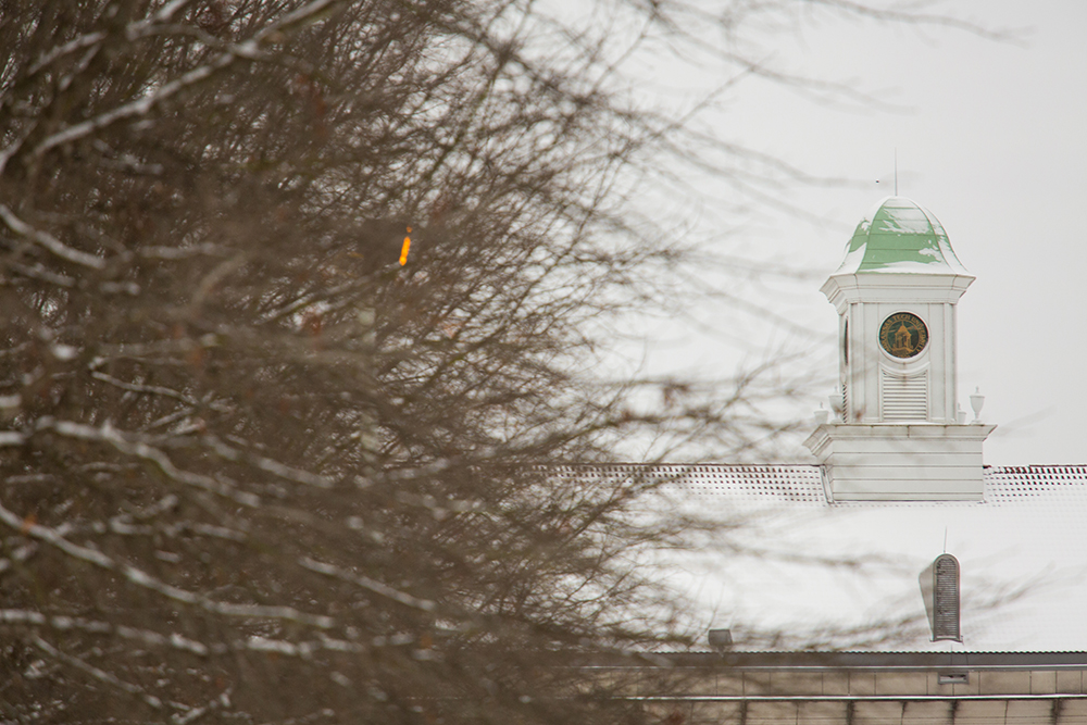 Snow-Covered Cupola