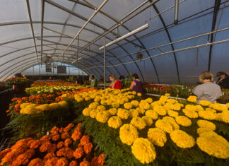 Spring Plant Sale Planned for April 22 ATU Spring Plant Sale 2019