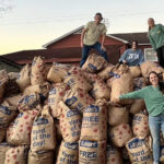 ATU Students Invited to Serve Community Nov. 18 Green and Gold Give Back Leaves 2022