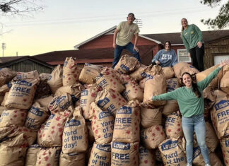 ATU Students Invited to Serve Community Nov. 18 Green and Gold Give Back Leaves 2022