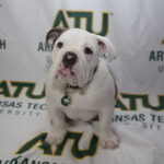 Meet and Greet for Jerry III August 21 Jerry Charles Young III June 2023