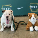 Jerry’s Crew Members to Receive a Build-a-Jerry Jerry's Crew 2023-24