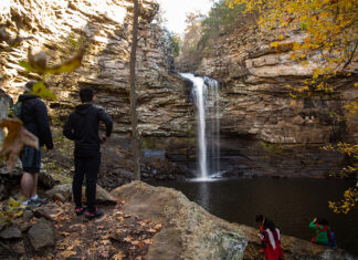 ATU Receives $500K for Trail Management Institute ATU Students on Cedar Falls Trail