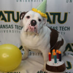 Celebrate Jerry’s First Birthday February 23 Jerry Charles Young III First Birthday Photo