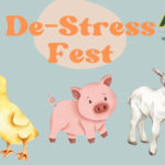 De-Stress Fest May 3 at Hindsman Tower De-Stress Fest 2024