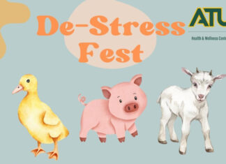 De-Stress Fest May 3 at Hindsman Tower De-Stress Fest 2024