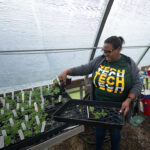 Support ATU Ag Students by Purchasing Plants Online Spring Plant Sale 2024_01