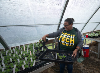 Support ATU Ag Students by Purchasing Plants Online Spring Plant Sale 2024_01