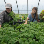 Spring Plant Sale ATU Spring Plant Sale 2024