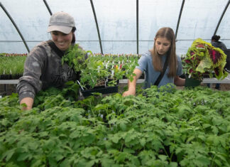 ATU Spring Plant Sale Scheduled for April 24 ATU Spring Plant Sale 2024