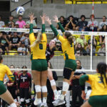 Home Volleyball Match: Golden Suns vs. Henderson State