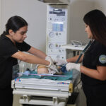 ATU Nursing Posts 100 Percent NCLEX Pass Rate ATU Nursing Russellville Campus Photo