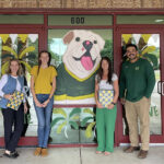 The Town Has Been Painted Green and Gold for 2025 Paint the Town Green and Gold 2025