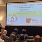 ATU Students Share Research at ’25 INBRE Conference ATU at 2025 INBRE Conference 04