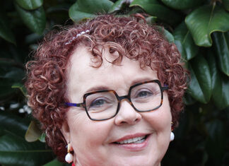 Distinguished Lecture Series Welcomes Cindi Ferguson Cindi Ferguson