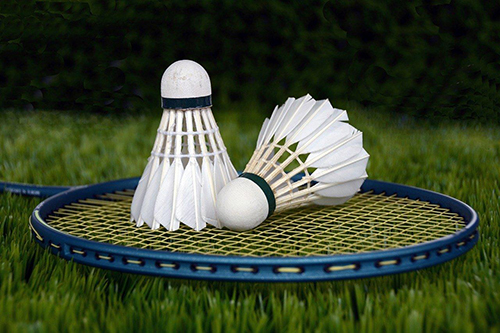 Intramurals Badminton 500