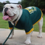 Jerry’s Third Birthday Party Cancelled Jerry Charles Young III