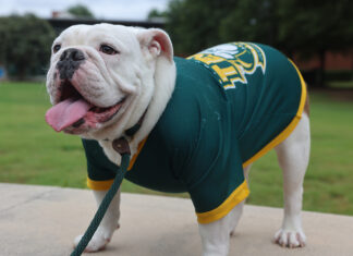 Jerry’s Third Birthday Party Cancelled Jerry Charles Young III