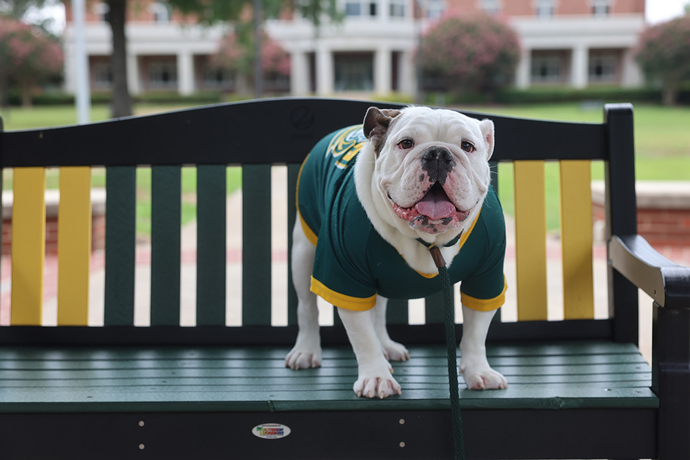 Jerry Charles Young III Ross Pendergraft Library and Technology Center in Background