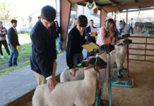 ATU Welcomes FFA Students for District Competitions FFA Day at Arkansas Tech 2026 01