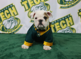 Arkansas Tech Introduces Jerry Charles Young IV Jerry Charles Young IV May 2026